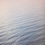 _MG_5578